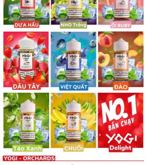 Yogi Delights Juice Freebase 100ml - Tinh Dầu Vape Mỹ