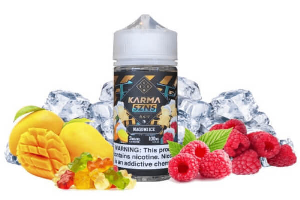 Salt Karma SZNS – Magumi Iced Juice Pod 50ni